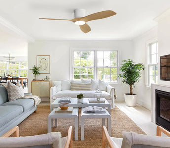Pet-Friendly Homes: How Ceiling Fans Keep Your Furry Friends Cool Without AC