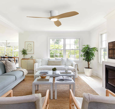 Pet-Friendly Homes: How Ceiling Fans Keep Your Furry Friends Cool Without AC