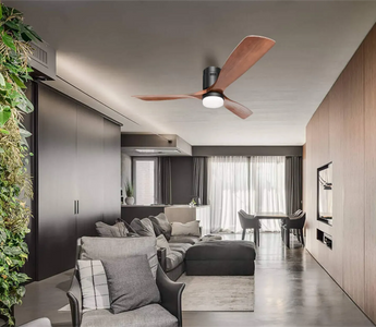 Ceiling Fan vs. Air Conditioner - Which is Your Cool Companion?