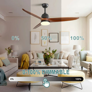 Replacing a Ceiling Fan Light Switch: A Step-by-Step Guide