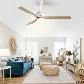 How to Tell if Your Ceiling Fan is AC or DC