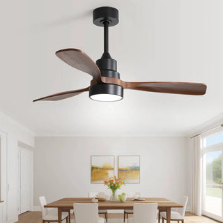 What Color Ceiling Fan Looks Best?
