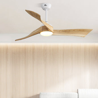 Modern Ceiling Fans