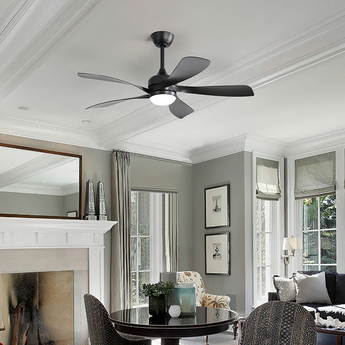 Black Ceiling Fans