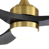 Brushed Gold / Black