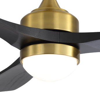 Brushed Gold / Black