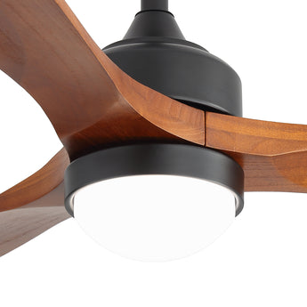 Black / Walnut Wood