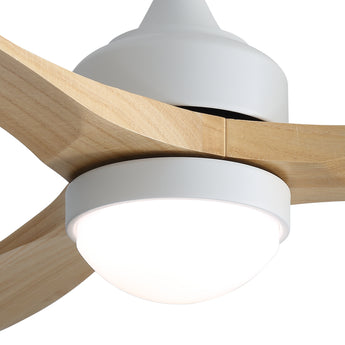White / Burly Wood