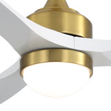 Brushed Gold / White