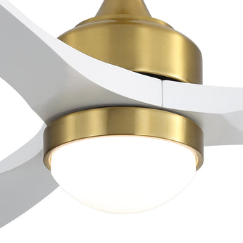 Brushed Gold / White