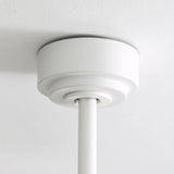 White / White