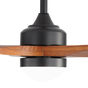 Black / Walnut Wood
