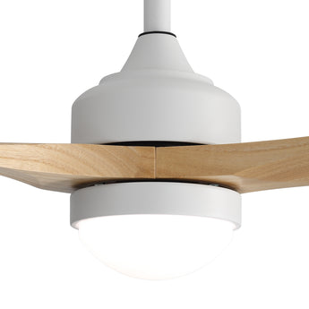 White / Burly Wood