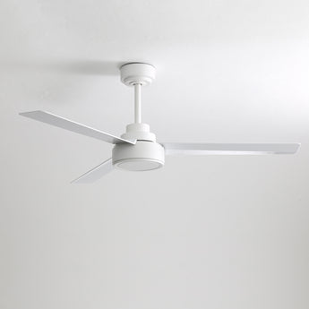White / White