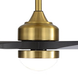 Brushed Gold / Black