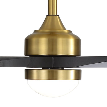 Brushed Gold / Black