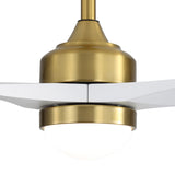 Brushed Gold / White