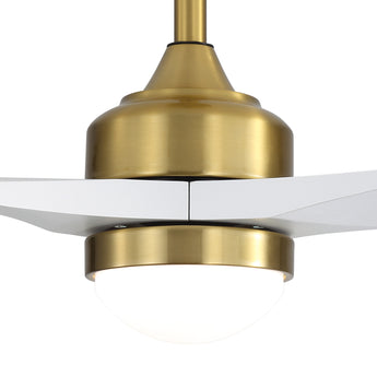 Brushed Gold / White