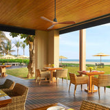 Black Body Walnut Color Blade