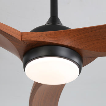 Black Body Walnut Color Blade