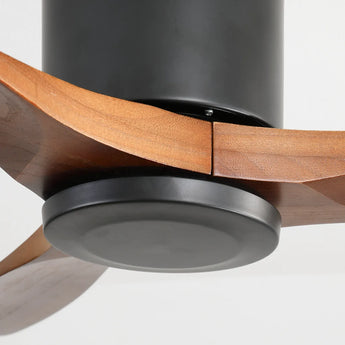 Black Body Walnut Color Blade