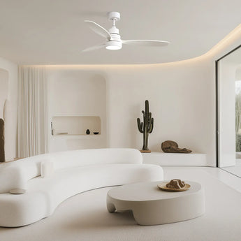 White / White