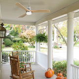 Brushed Body OAK Grain Blades