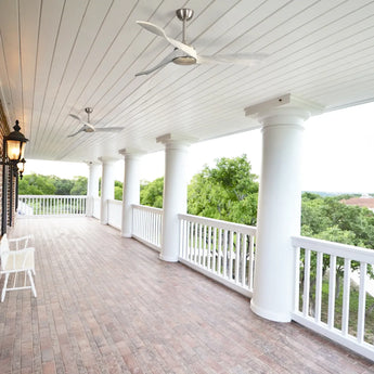 Brushed Body OAK Grain Blades