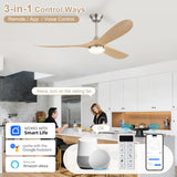 Brushed Body Burly Color Blade