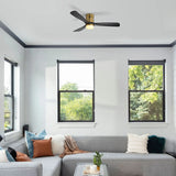 Gold Body Black Blades