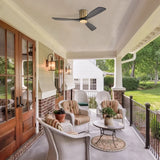 Gold Body Black Blades