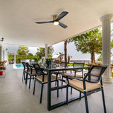 Gold Body Black Blades