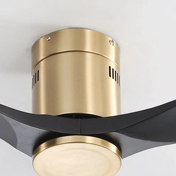 Gold Body Black Blades