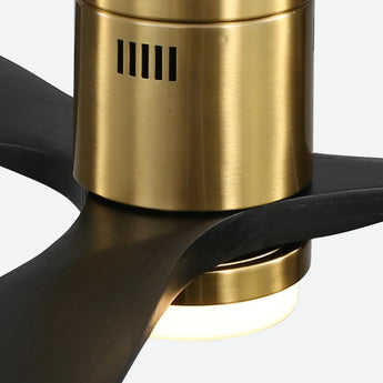 Gold Body Black Blades