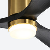 Gold Body Black Blades