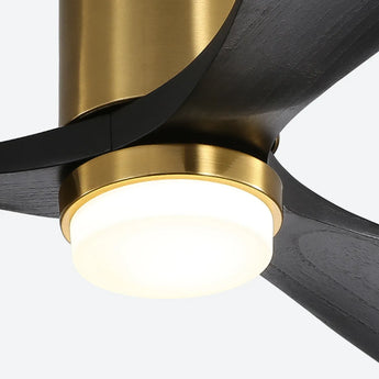 Gold Body Black Blades