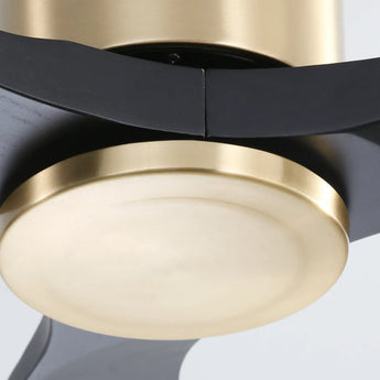 Gold Body Black Blades