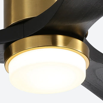 Gold Body Black Blades