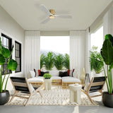 Gold Body Gray Wood Grain Blades