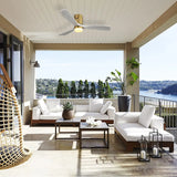 Gold Body Gray Wood Grain Blades