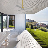 Gold Body Gray Wood Grain Blades