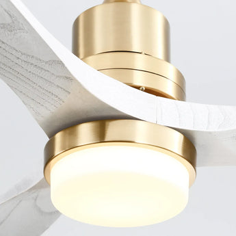 Gold Body White Blade