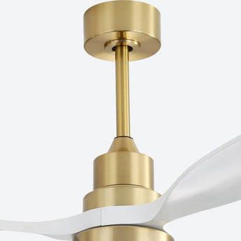 Gold Body White Blade