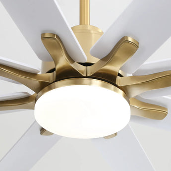 Gold Body White Blade