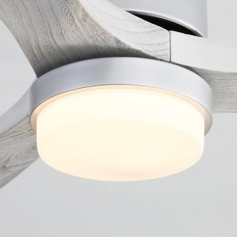 Silver Body OAK Grain Blades