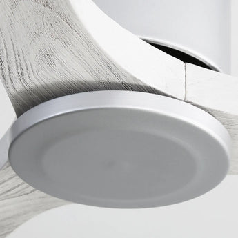 Silver Body OAK Grain Blades