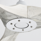 Silver With Oak Blades