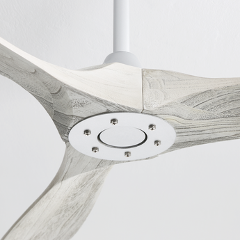Silver With Oak Blades