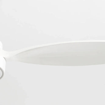 White / White