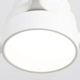 White / White